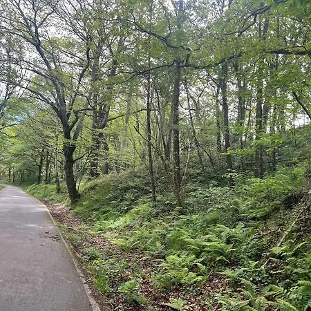 別荘 El Rincon Del Rosal 15b08 By R2r Consulting